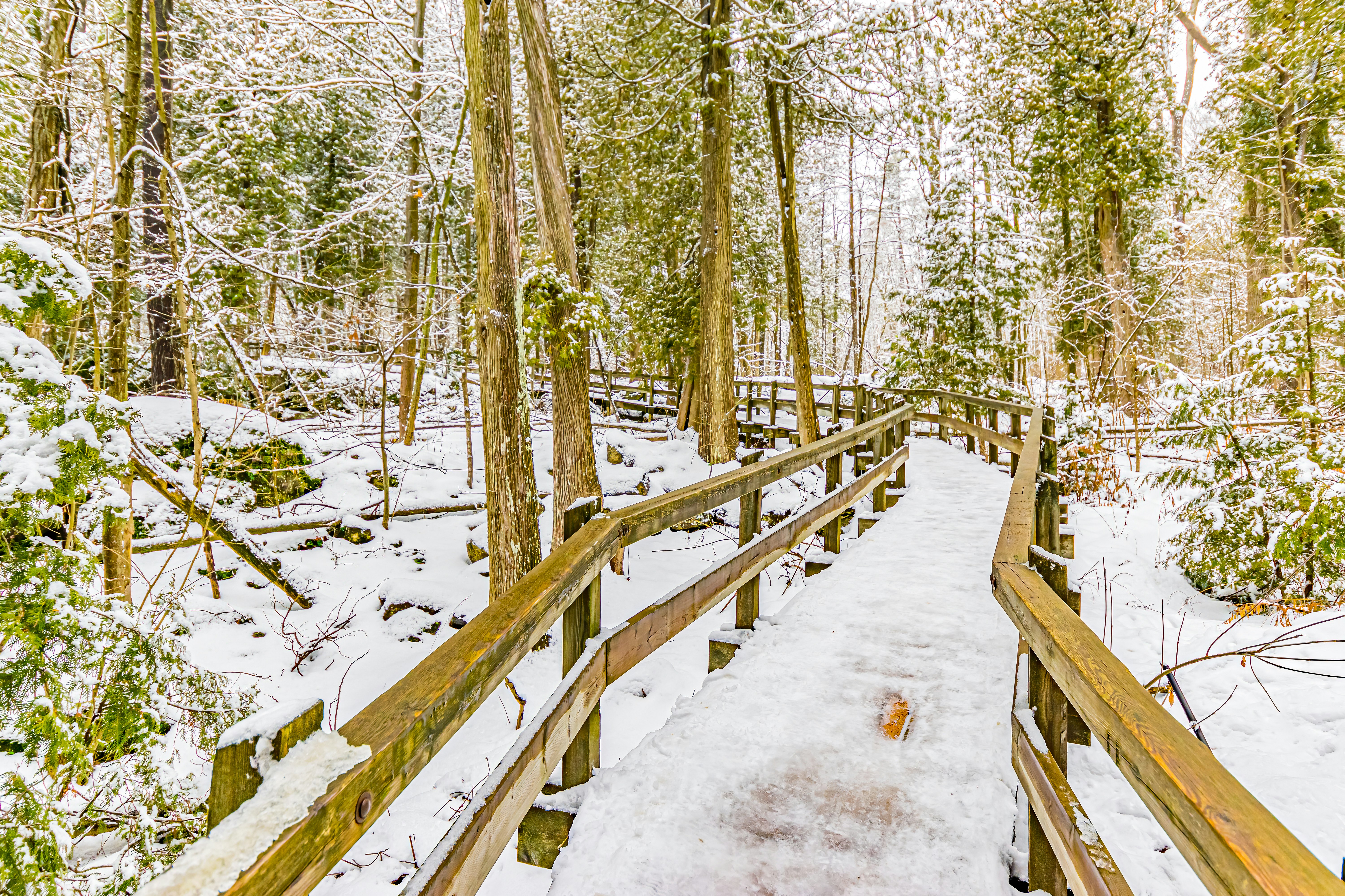 brown wooden fence covered with snow